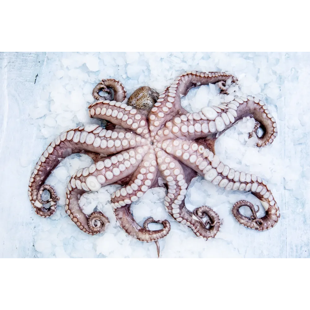 Ice maker GR185, 178kg/24h