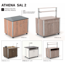 MODULE NEUTRE AVEC PORTE ATHENA SAL N2