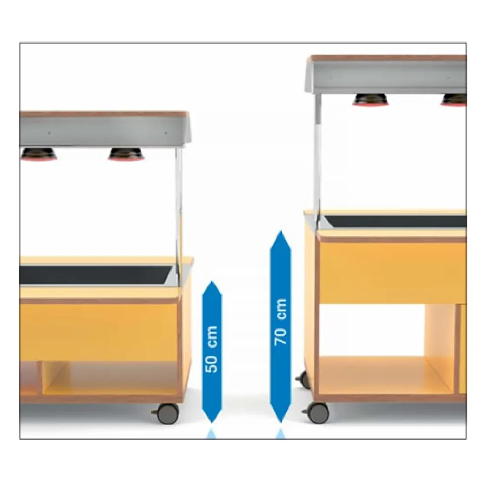 BUFFET CHAUFFANT BAIN MARIE AVEC LAMPES INFRAROUGES HAPPY 4 BM/INFRA