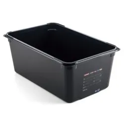 GN 1/1  h-200 mm  ABS container