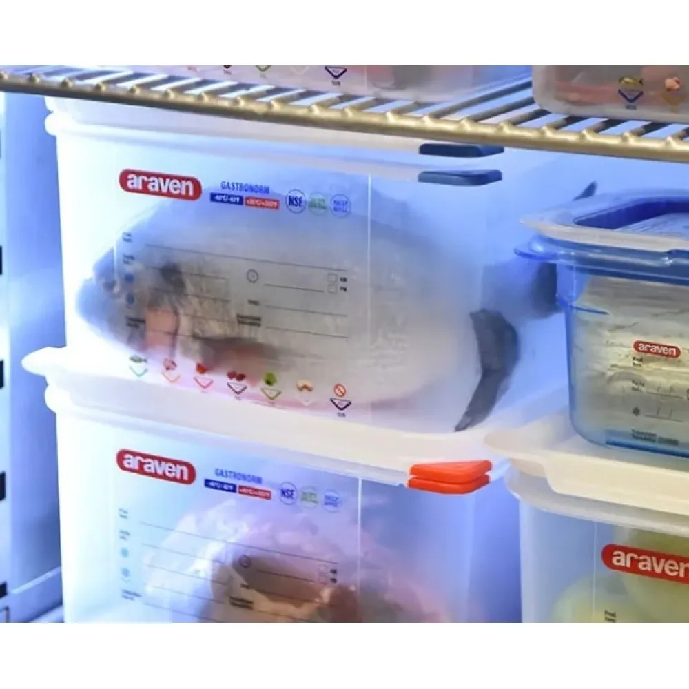 GN 1/2 H-100  mm Récipient avec couvercle