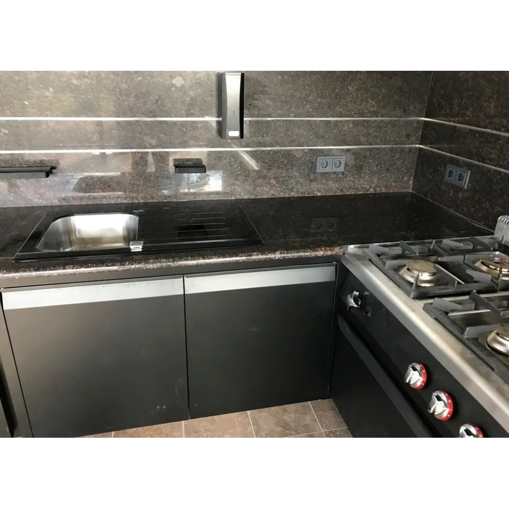 Cuisine pour une maison privée NN87