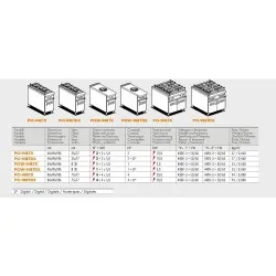 Plaque de cuisson à induction TPI-98ETX