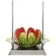 Watermelon cutter