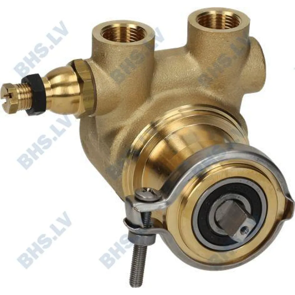 ROTARY VANE PUMP ROTOFLOW ø 3/8" GAS