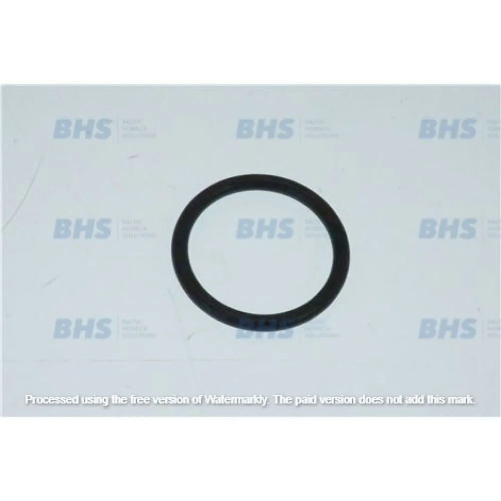 OR GASKET DELONGHI 5313238581