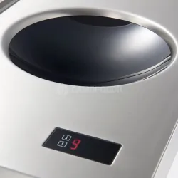 Cuisinière à induction WOK 5 kW