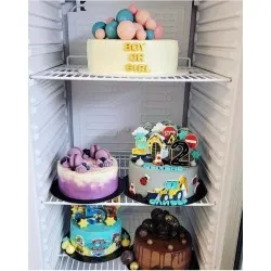 Armoire réfrigérée 265 l