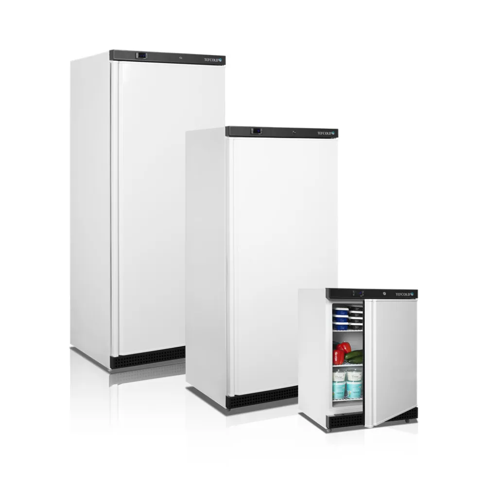 Congélateur avec paniers UF 555 litres