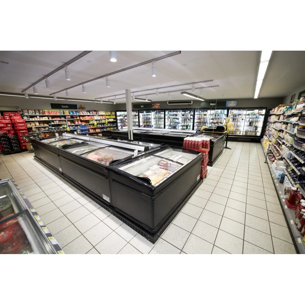 Supermarket Cooler-Freezer 422L