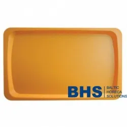 Plateau GN1/1 530x325 mm