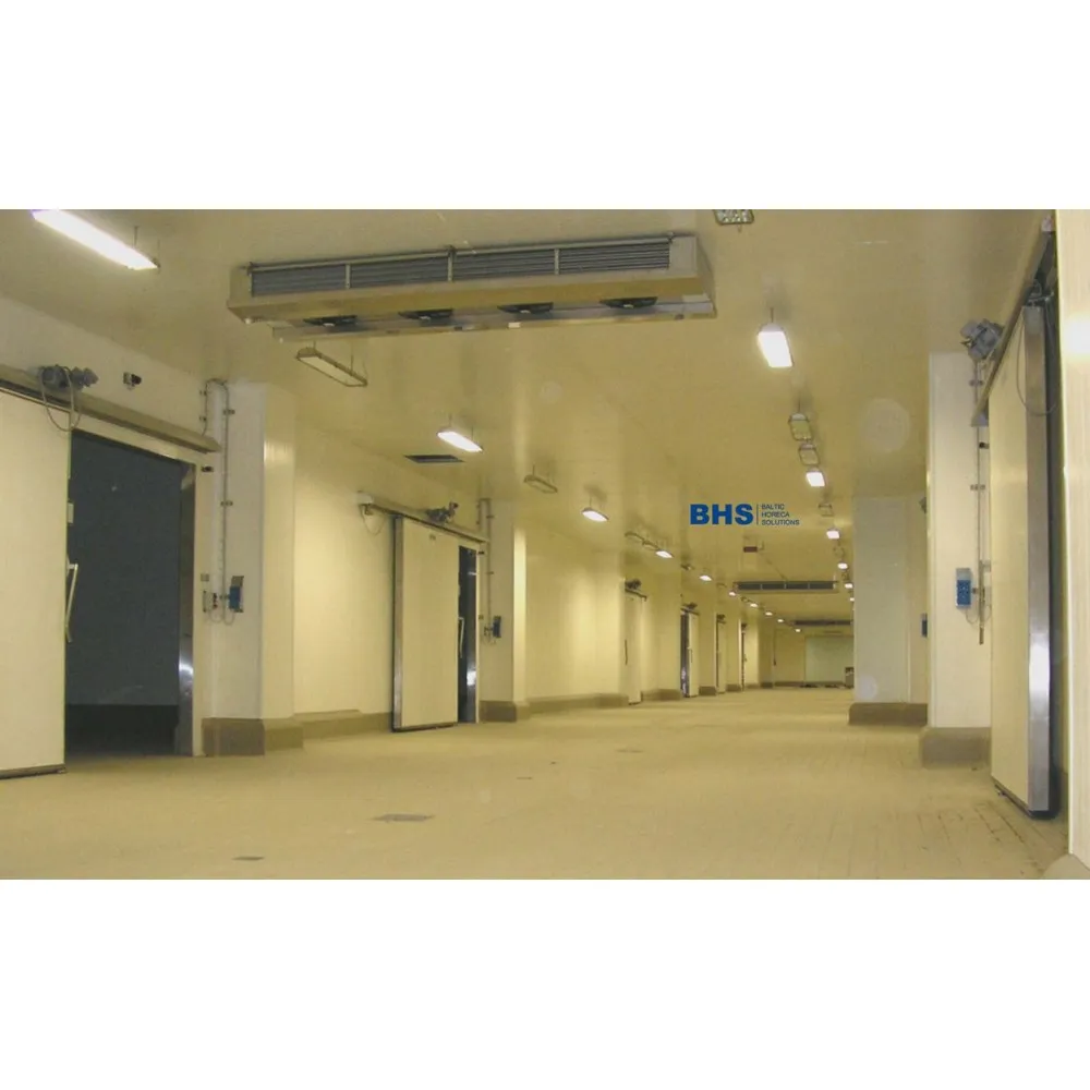 Chambre de congélation 2700 / 3000 / 2200 - 13.31 m³