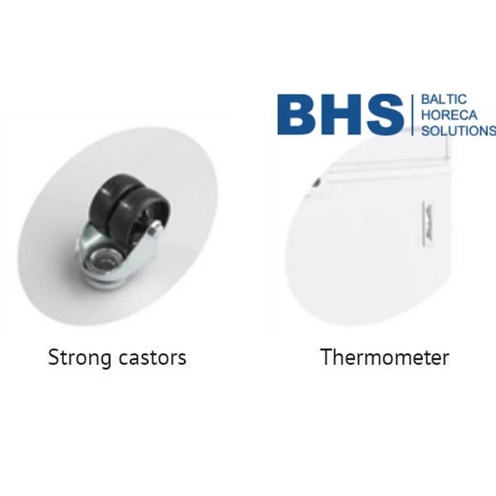 Congélateur coffre FR305-SL