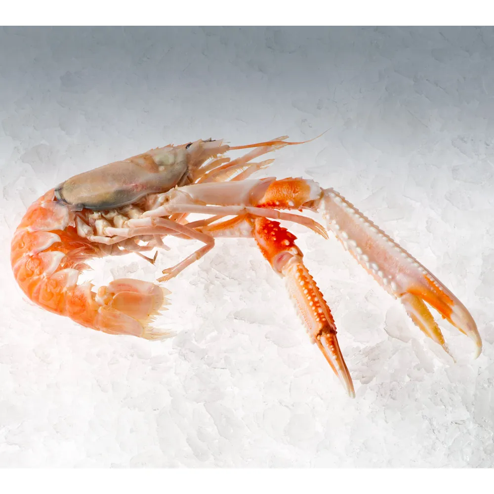 Générateur de glace KFE 250, 250kg/24h