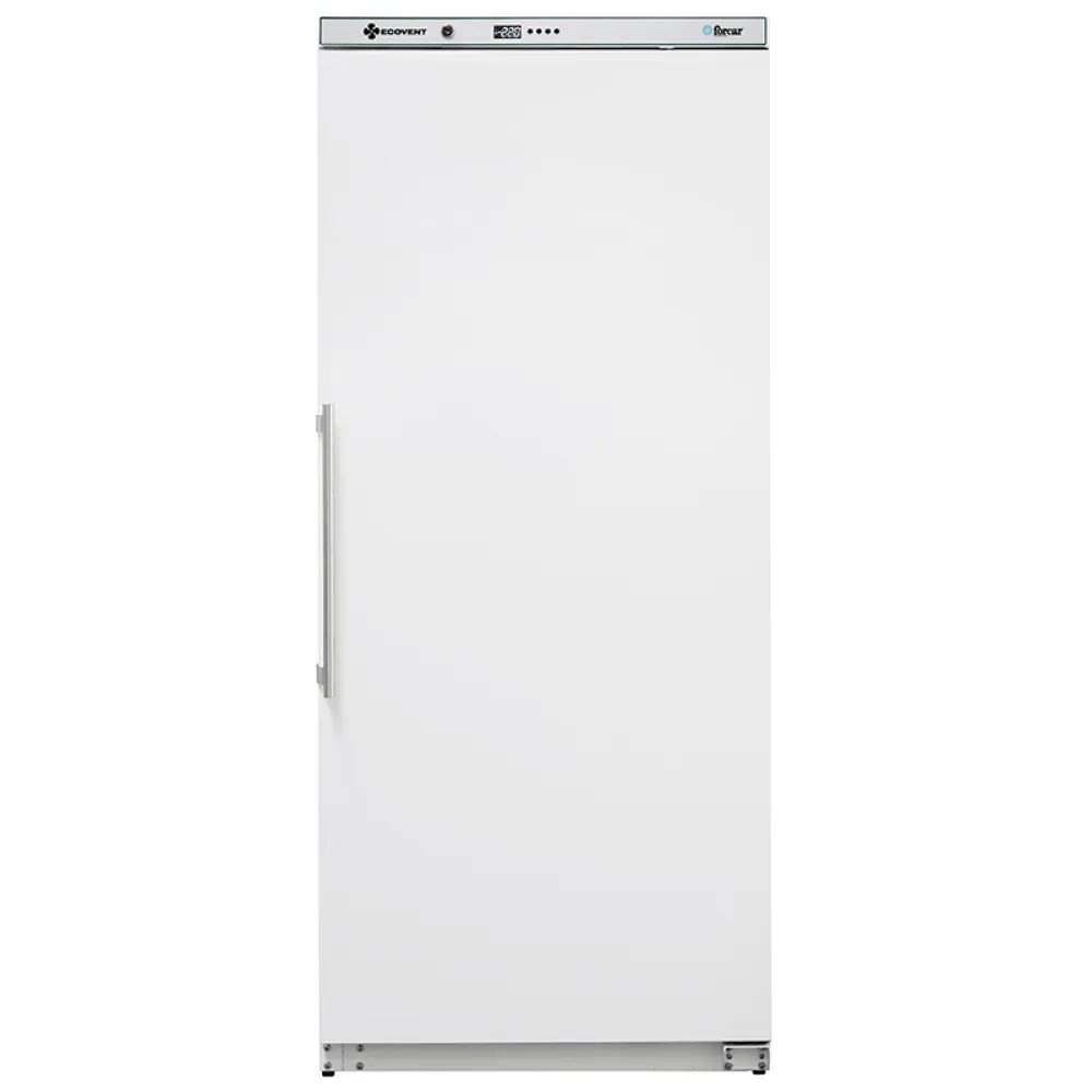 Armoire réfrigérée ventilée Eco Line, white G-ERV600