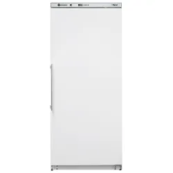 Armoire réfrigérée ventilée Eco Line, white G-ERV600