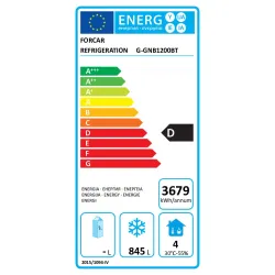 Congélateur double porte Eco Line GN2/1 G-GNB1200BT