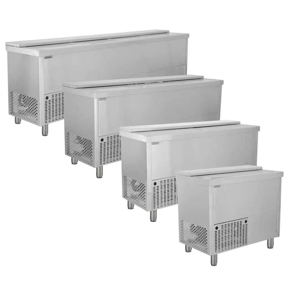 Rafraîchisseur de bouteilles BHC200X1