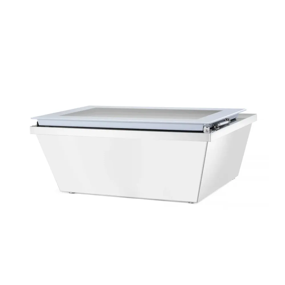 Vitrine Congélateur à Température Réglable et Design Élégant