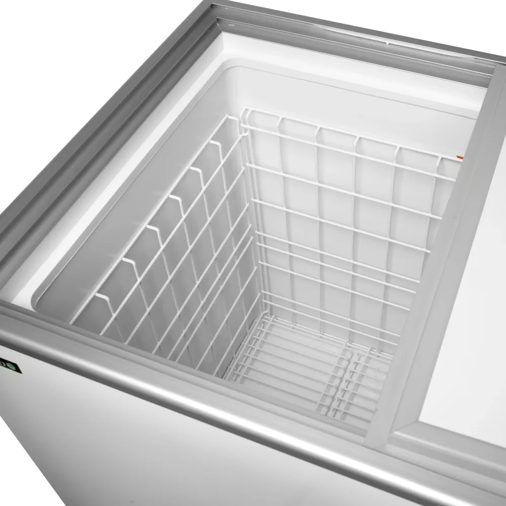 Bottle chest cooler TEFCOLD ISC302SD - Armoire réfrigérée pour bouteilles