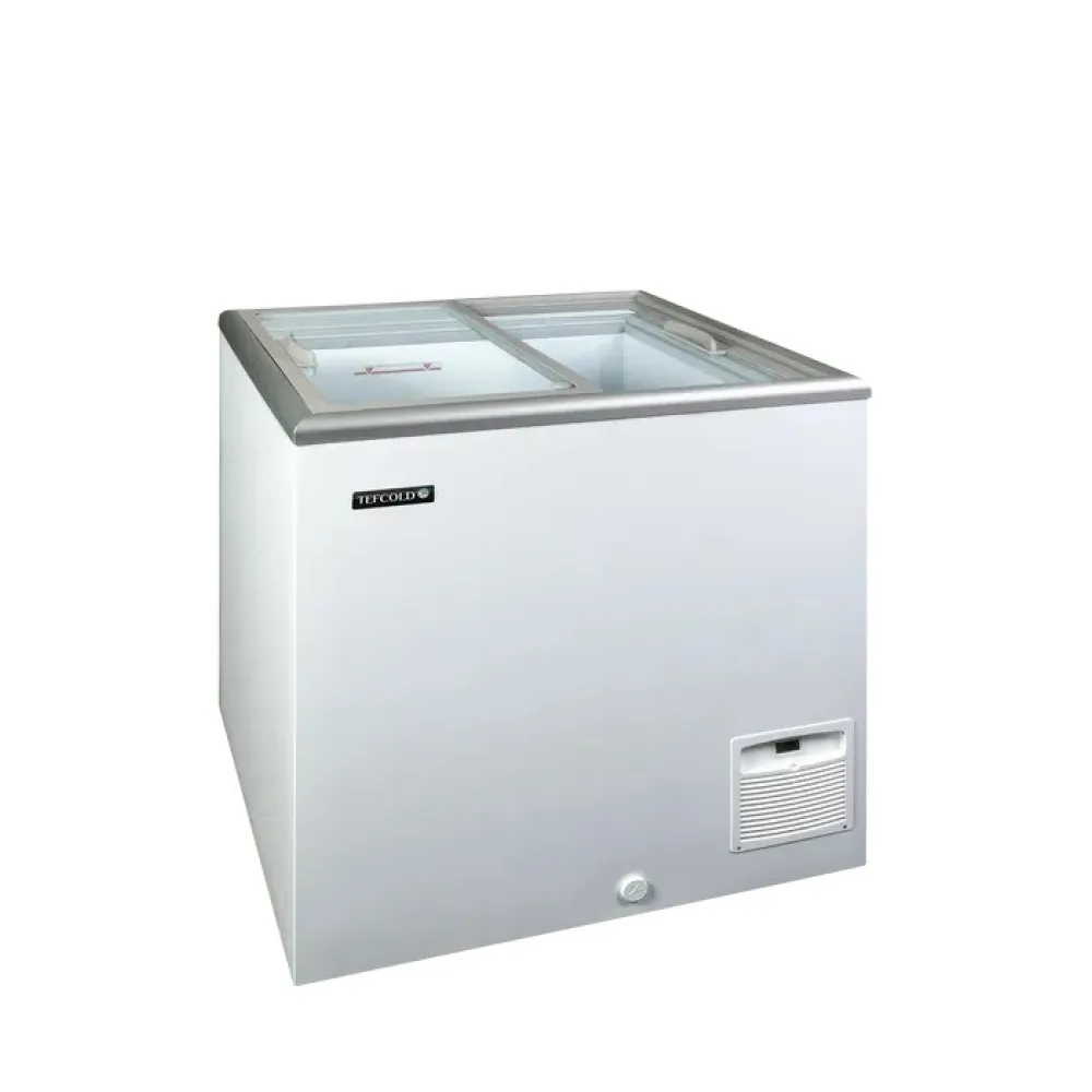 Congélateur professionnel à glace 163 L TEFCOLD IDA200-W1