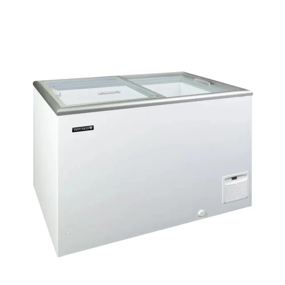 Congélateur professionnel TEFCOLD 267 L blanc IDA300-W1