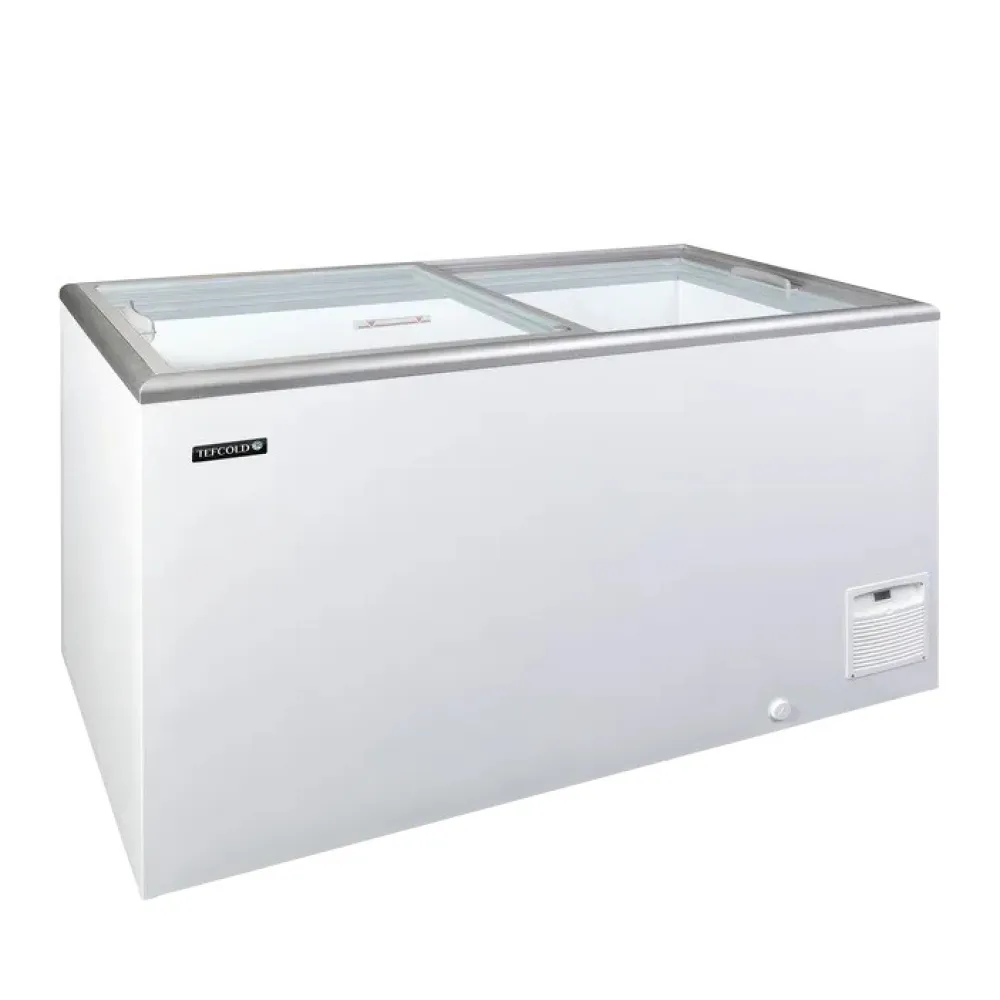 Congélateur professionnel 345 L TEFCOLD IDA400-W1 blanc