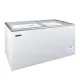 Congélateur professionnel 345 L TEFCOLD IDA400-W1 blanc