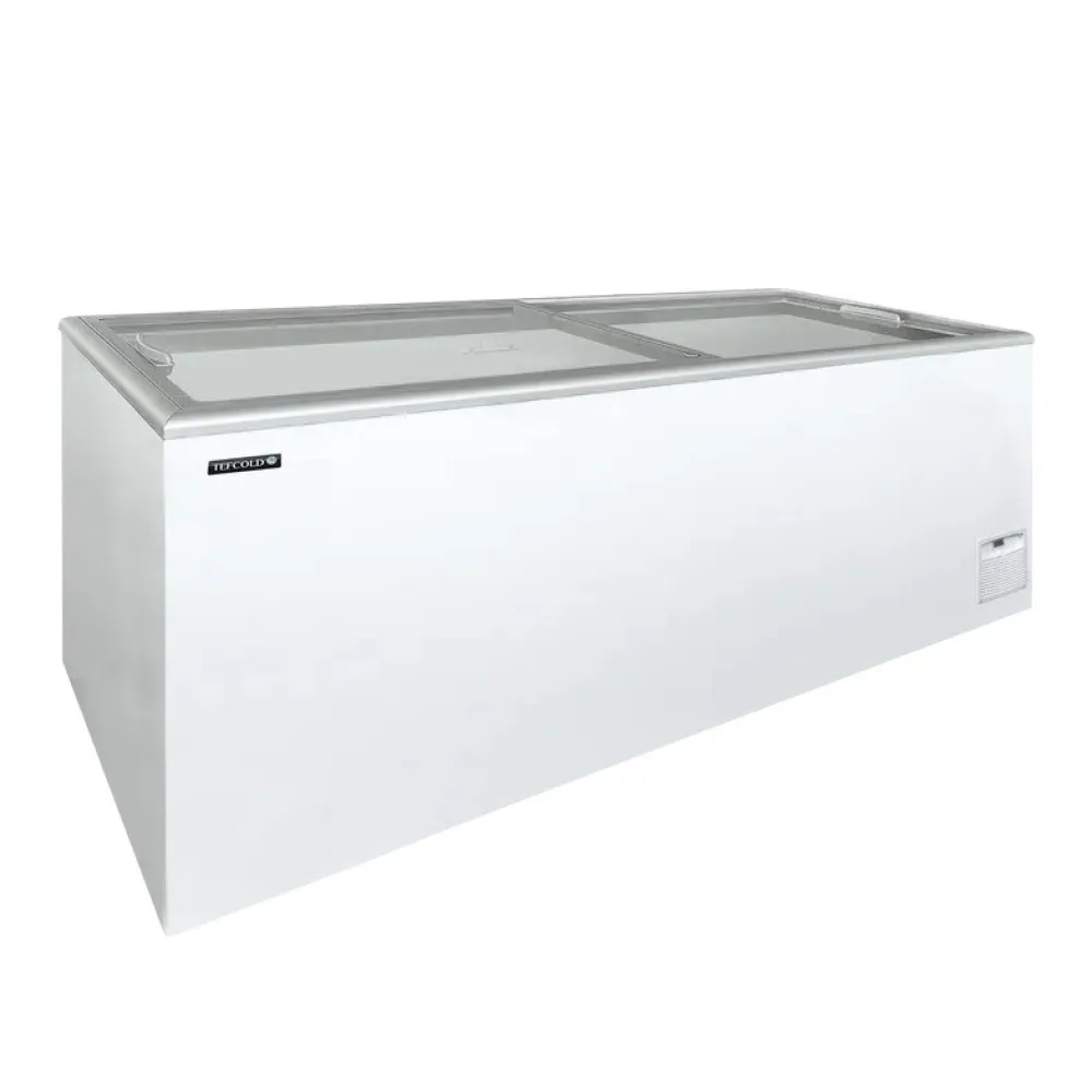 Congélateur professionnel TEFCOLD 489 L blanc IDA600-W1