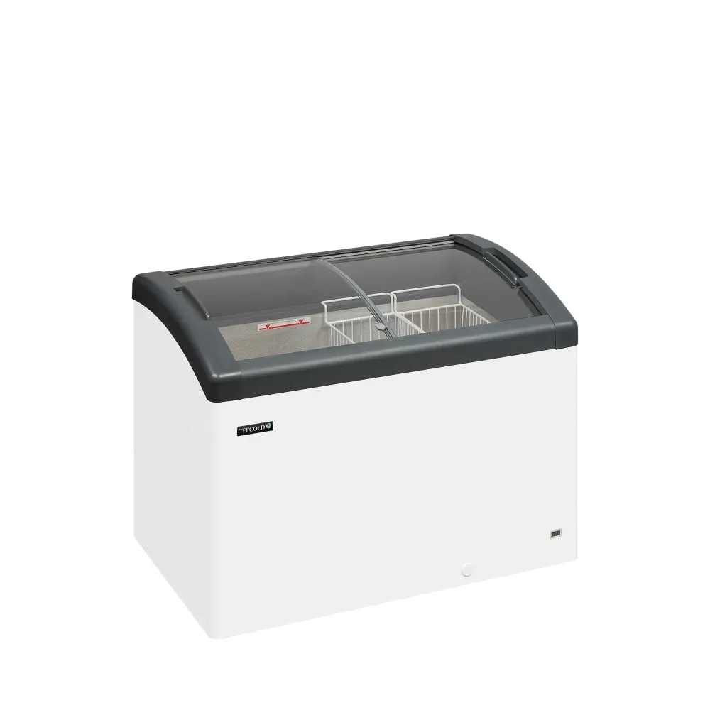 Congélateur à glace professionnel TEFCOLD FOCUS 106