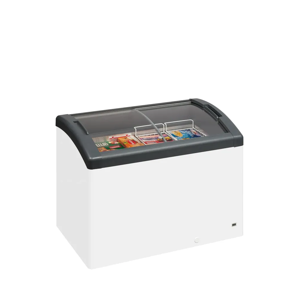 Congélateur à glace professionnel TEFCOLD FOCUS 106