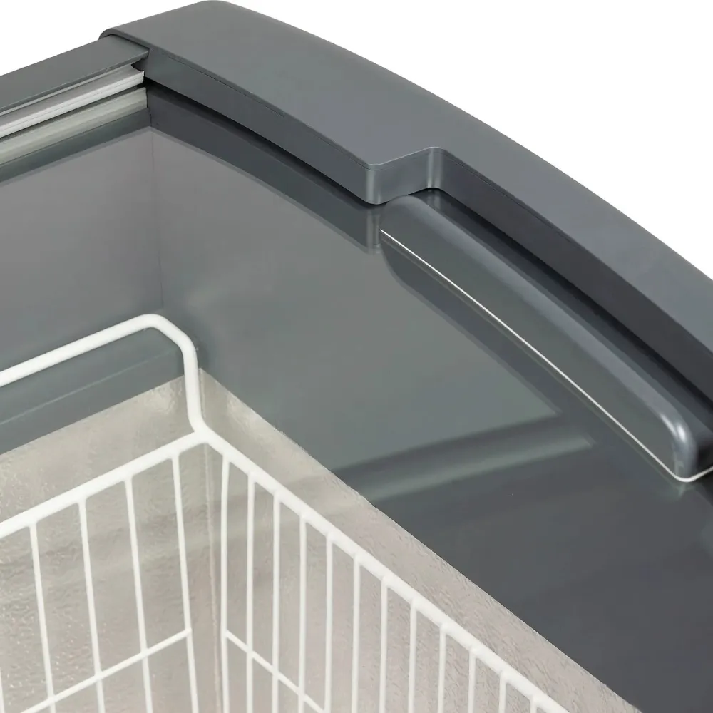 Congélateur à glace professionnel TEFCOLD FOCUS 106