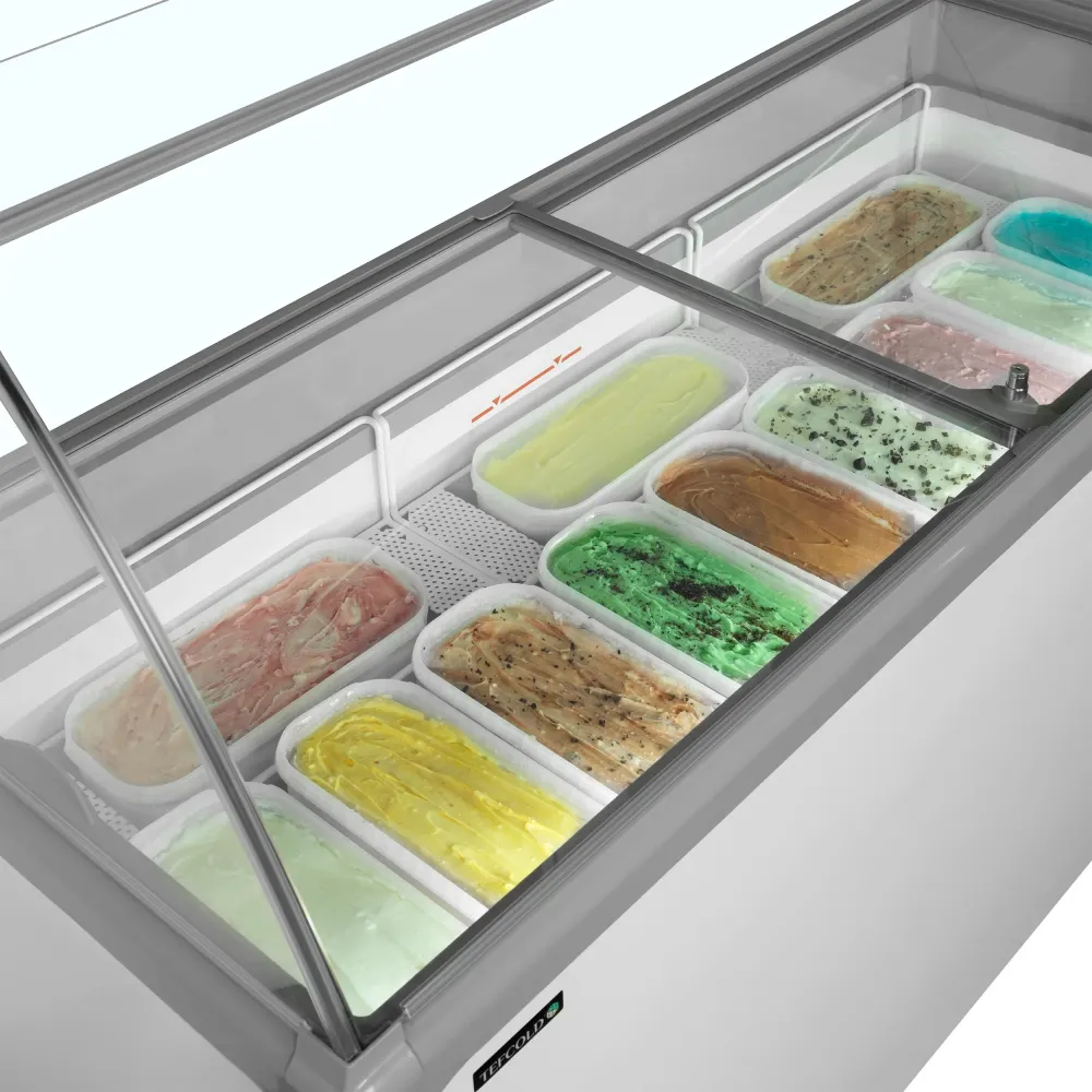 Vitrine réfrigérée à glace TEFCOLD NIC502SC-SO