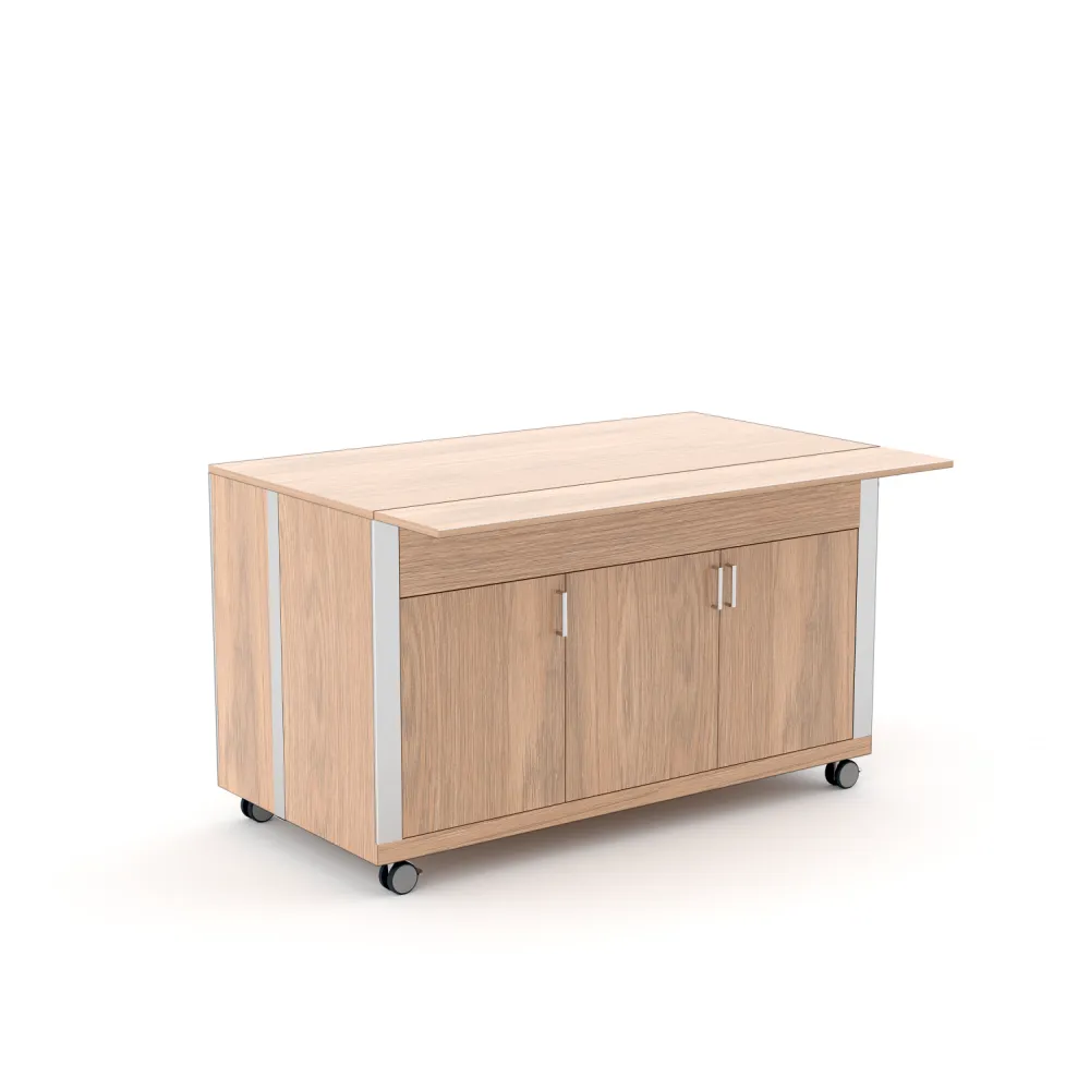 MODULE NEUTRE AVEC PORTE ATHENA SAL N3