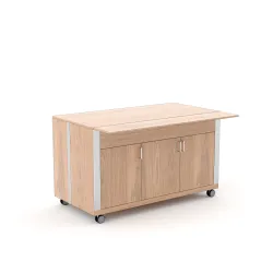 MODULE NEUTRE AVEC PORTE ATHENA SAL N3