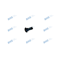 Expanding rivet 4 PA 6.6 bk