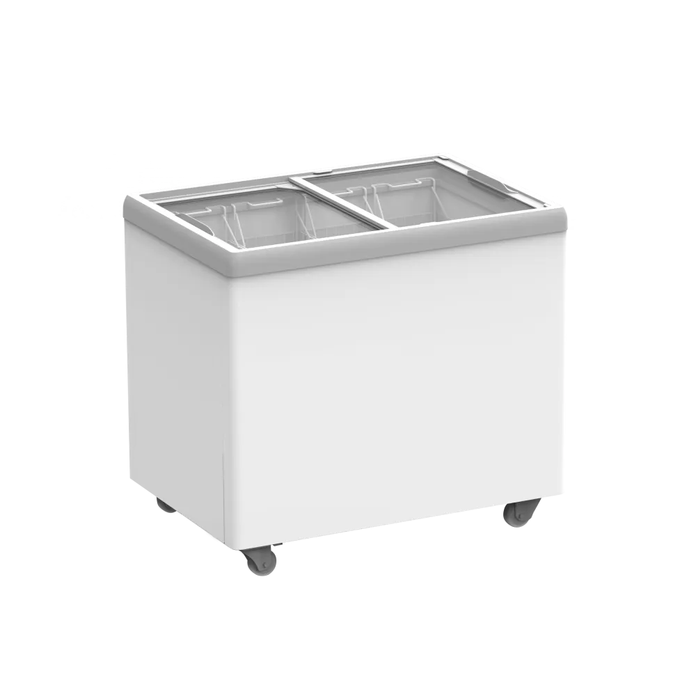 Vitrine à glace 223L IC310D