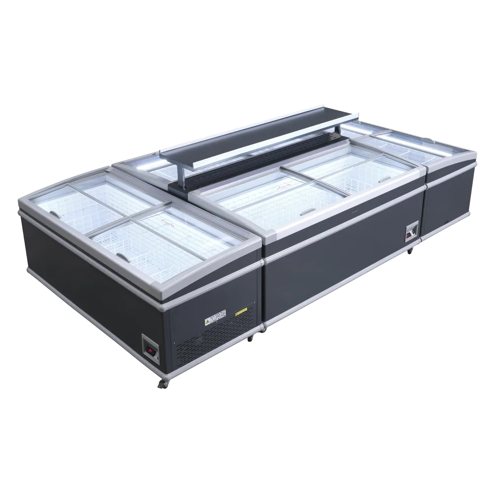 Vitrine de magasin 501L SIF700ADGC