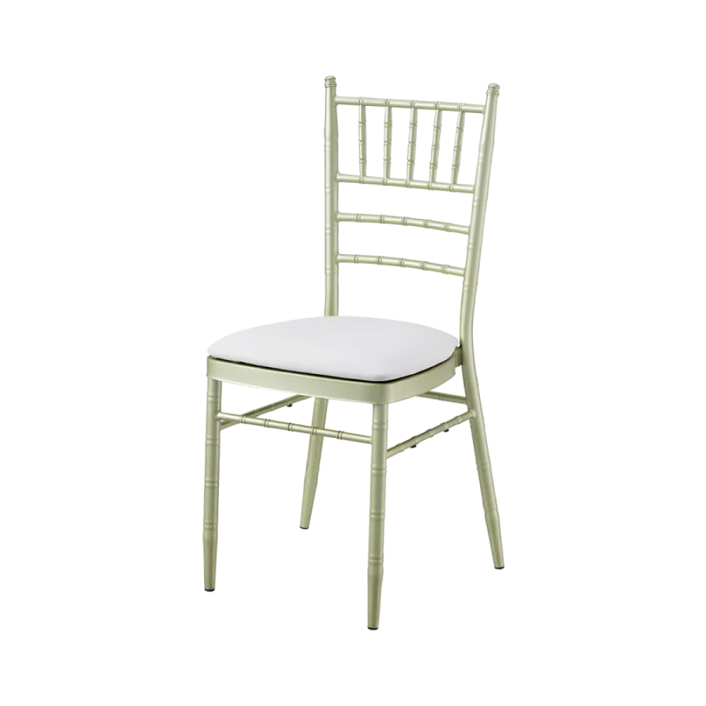 Chaise professionnelle empilable TIFFANY STEEL