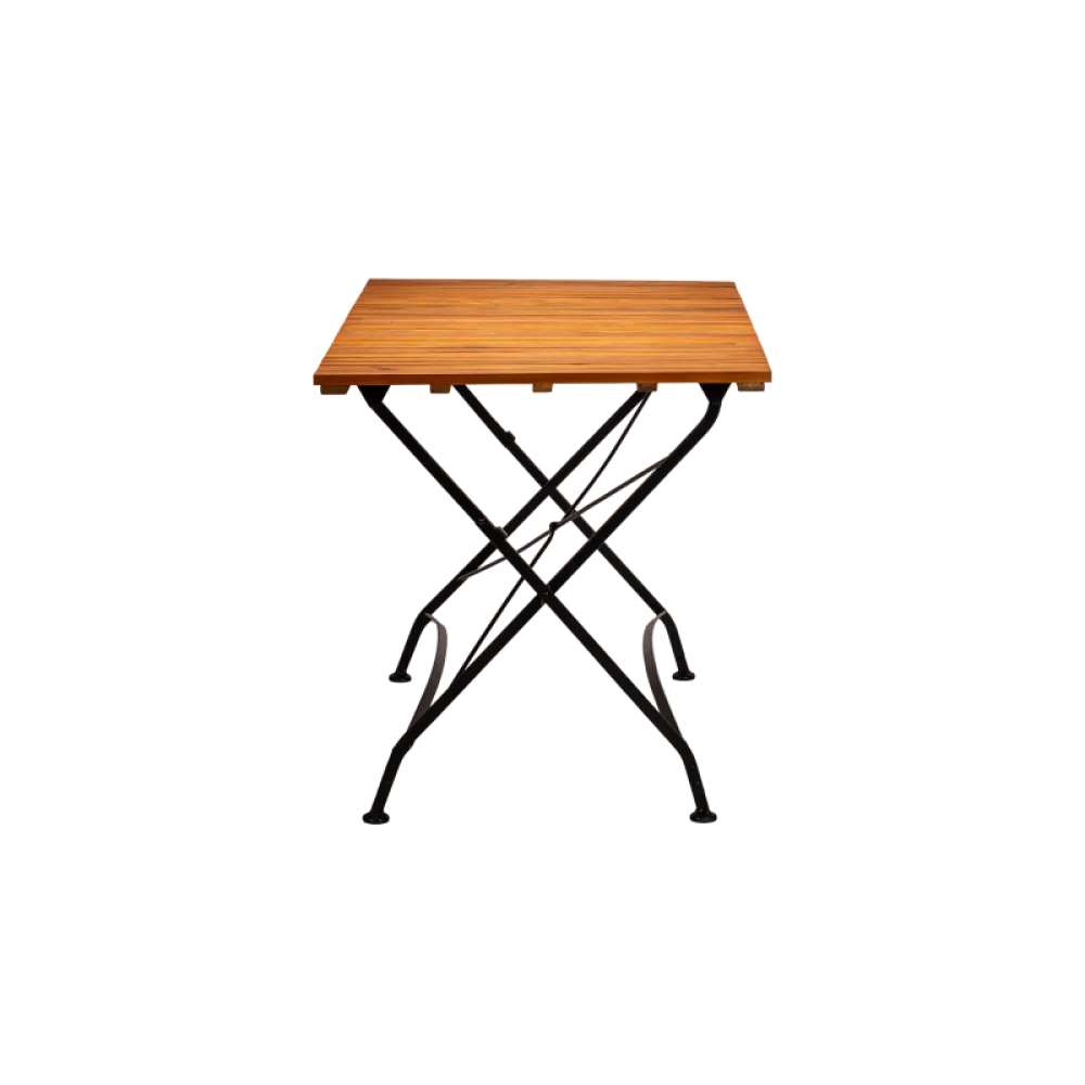 Table professionnelle LARA 120x70 cm pliable et empilable